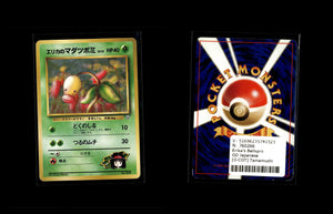 Erika's Bellsprout - Tamamushi City Gym #0 [Fixed]