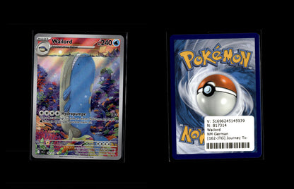 Wailord - Journey Together #162 [Illustration Rare]