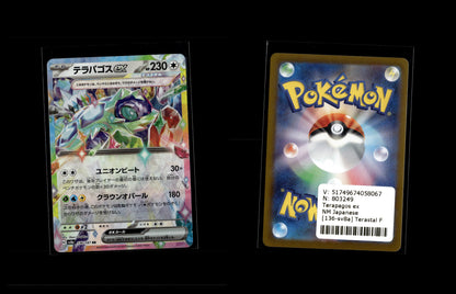 Terapagos ex - Terastal Festival ex #136 [Double Rare]