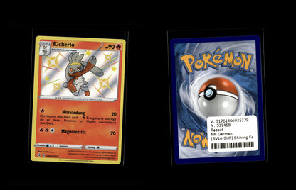 Raboot - Shining Fates #SV16 [Secret Rare]