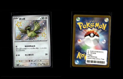 Pidgey - Shiny Treasure ex #304 [Holo Rare]