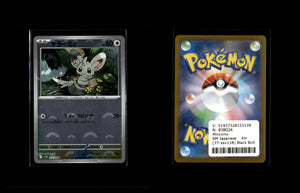 Minccino - Black Bolt JP: Additionals #77 [Common]