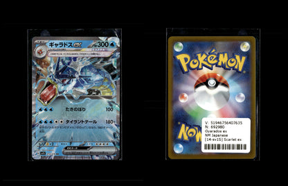 Gyarados ex - Scarlet ex #14 [Double Rare]