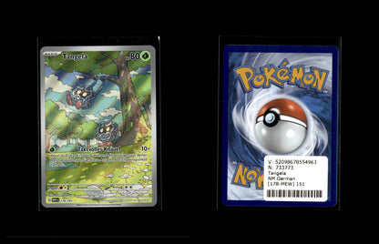 Tangela - 151 (MEW) #178 [Illustration Rare]