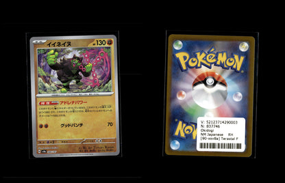 Okidogi - Terastal Festival ex: Additionals #90 [Fixed]