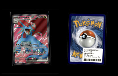 Salamence ex - Journey Together #177 [Ultra Rare]