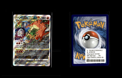 Charizard VSTAR - SWSH Black Star Promos #262 [Promo]