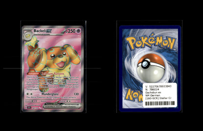 Dachsbun ex - Stellar Crown #160 [Ultra Rare]