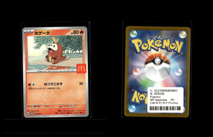 Fuecoco - M-P Promos #18 [Promo]