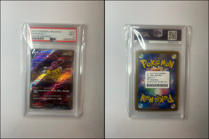 Raikou V - VSTAR Universe #218 [Special Illustration Rare]