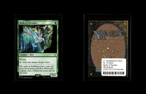 Paradiesvögel - Ravnica Remastered #133 [rare]