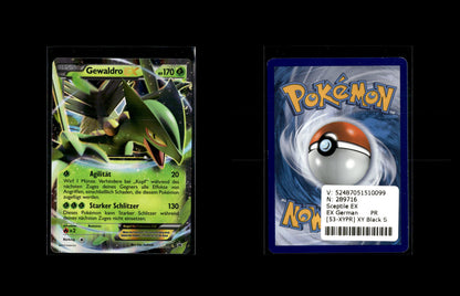 Sceptile EX - XY Black Star Promos #53 [Promo]