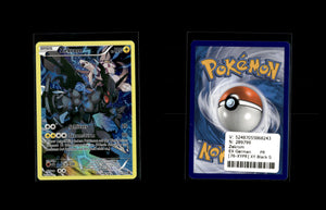 Zekrom  - XY Black Star Promos #76 [Promo]