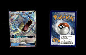 Gyarados GX - SM Black Star Promos #212 [Promo]