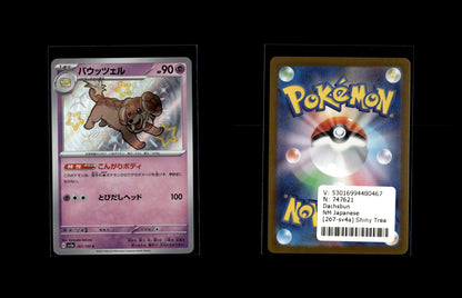 Dachsbun - Shiny Treasure ex #267 [Holo Rare]