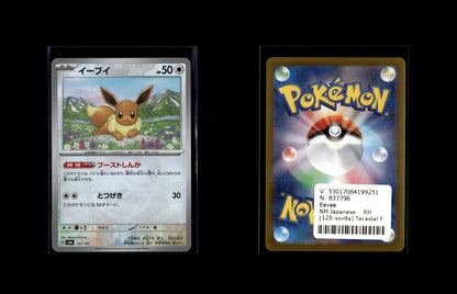 Eevee - Terastal Festival ex: Additionals #125 [Fixed]