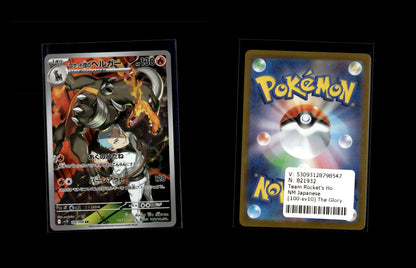 Team Rocket's Houndoom - The Glory of Team Rocket #100 [Illustration Rare]
