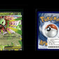 Mega Meganium ex - Ascended Heroes #10 [Double Rare]