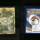 Aether Paradise Conservation Area - Hidden Fates #SV87 [Secret Rare]