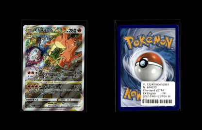 Charizard VSTAR - SWSH Black Star Promos #262 [Promo]