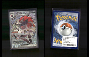 Ns Zoroark-ex - Erhabene Helden #286 [Selten, besondere Illustration]