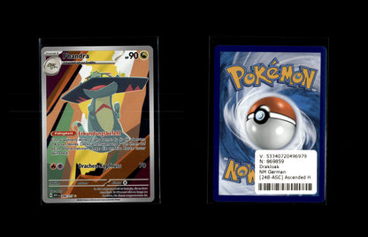 Phandra - Erhabene Helden #248 [Selten, Illustration]