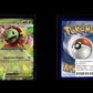 Mega Meganium ex - MEP Black Star Promos #34 [Promo]