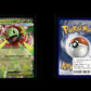 Mega Meganium ex - MEP Black Star Promos #34 [Promo]