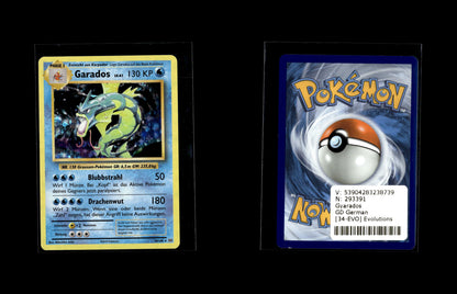 Garados - Evolution #34 [Selten]