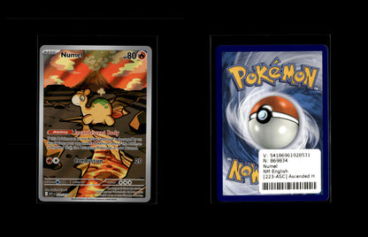 Numel - Ascended Heroes #223 [Illustration Rare]