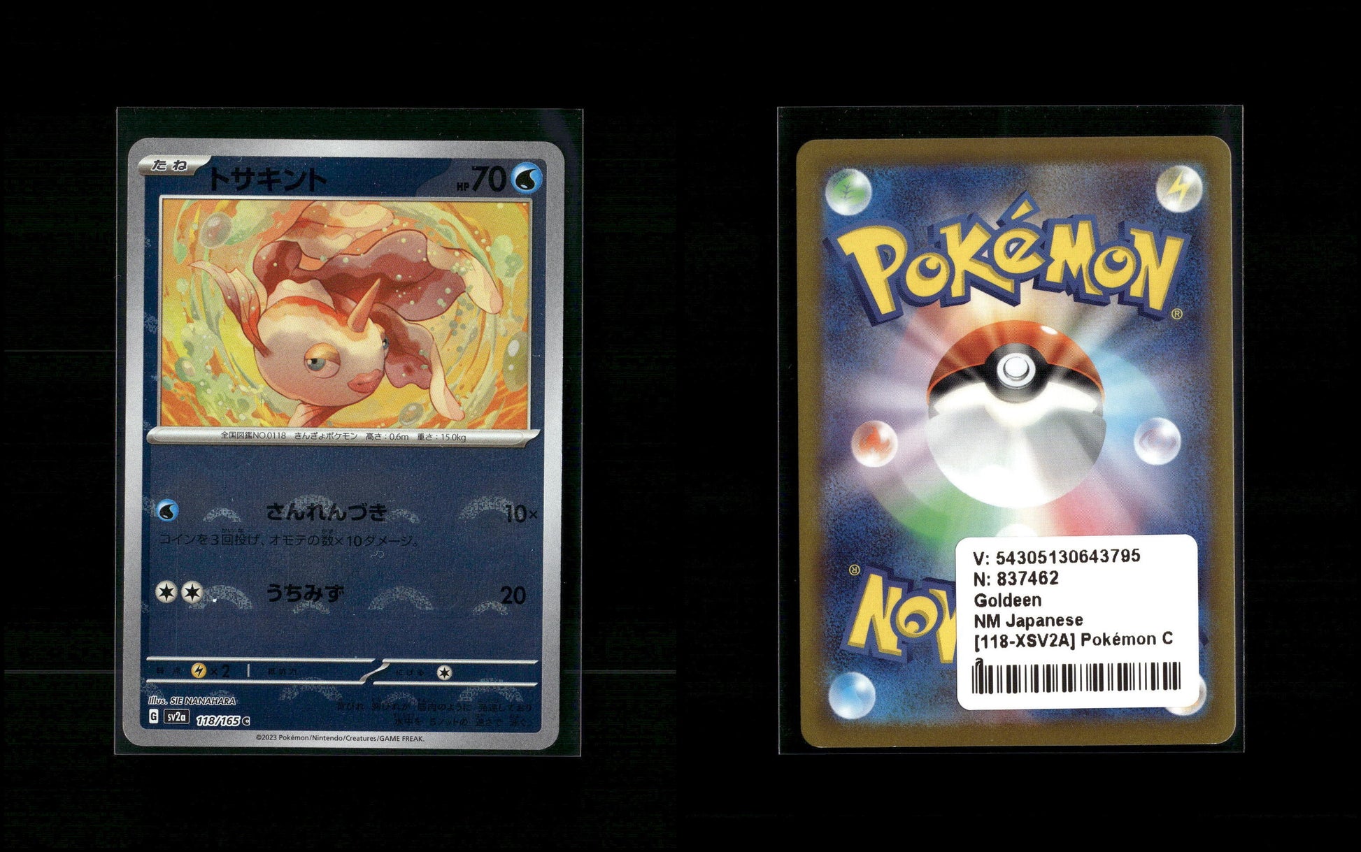 RAW import SSCB3hM3QOEkc2LXPYy2/ydZgQ8ltBlar0gRLnXpj-00037