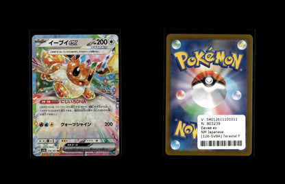 Eevee ex - Terastal Festival ex #126 [Double Rare]
